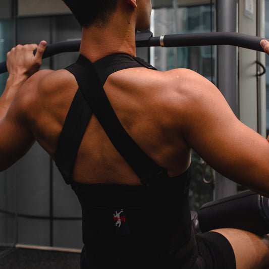Back Support Belt